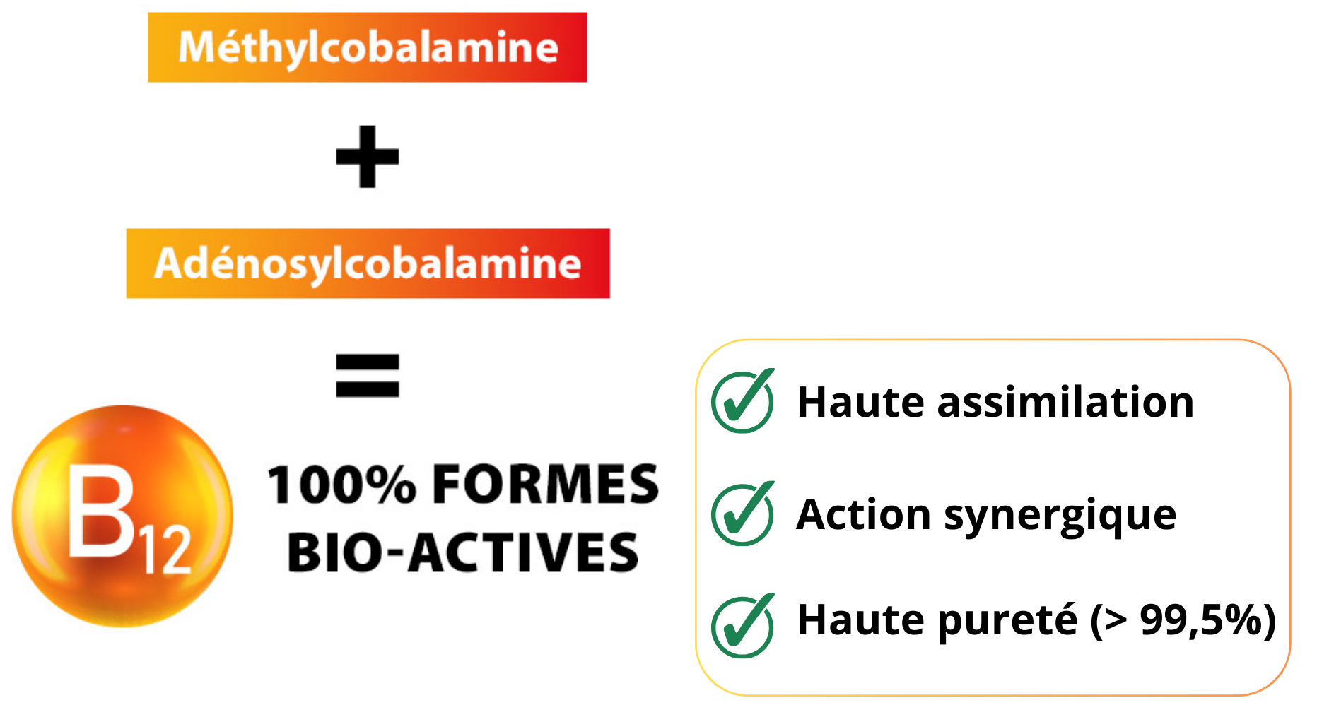 Avantages de la vitamine B12 100% forme bioactive méthylcobalamine et adénosylcobalamine